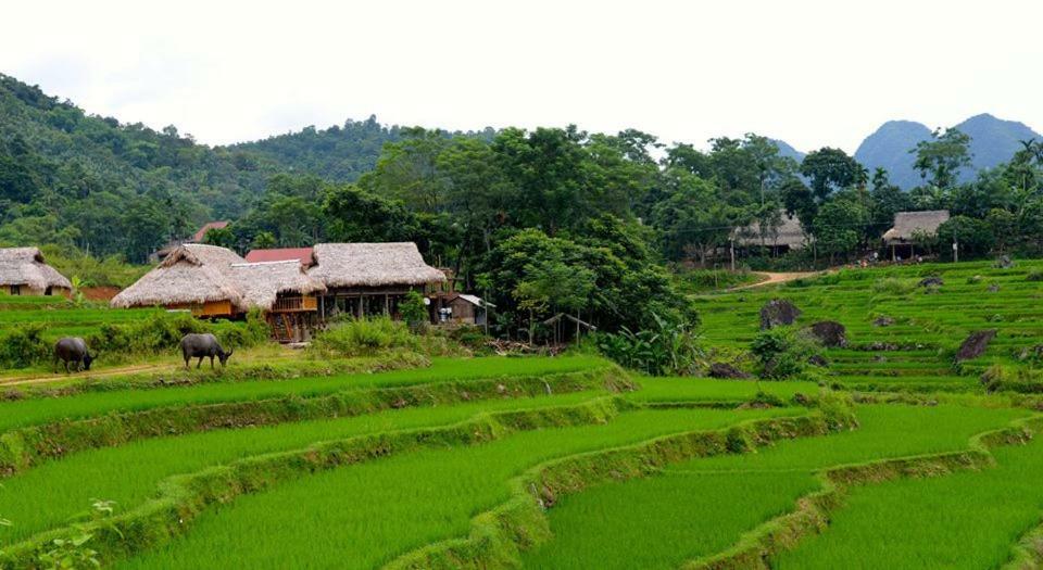 Puluong Valley Home Thanh Hoa Ngoại thất bức ảnh